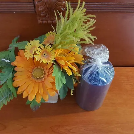 Apartment Elisavet Apts Kávos