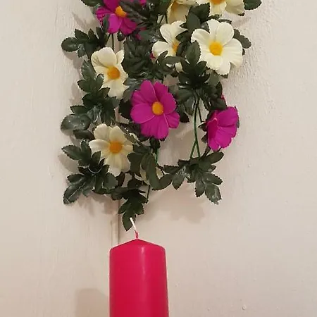 Elisavet Apts * 卡沃斯