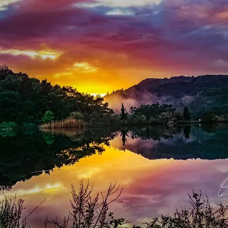 Elisavet Apts 卡沃斯