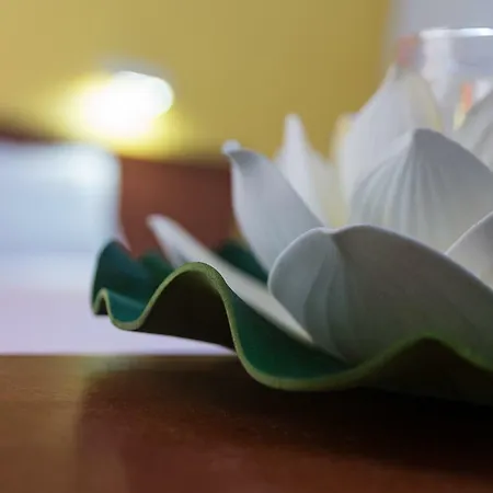 Elisavet Apts 公寓